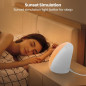 LASTAR 10,000 Lux Sunlight Lamp with 4 Colors, 5 Brightness Levels, Timer & Touch Control for Home LASTAR 10,000 Lux Sunlight Lamp with 4 Colors, 5 Brightness Levels, Timer & Touch Control for Home