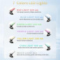 Appareil de Beauté Visage Multifonction avec Vibration et LED 7 Couleurs pour Soins à Domicile