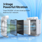 Purificateur d'air Coway Airmega AP-1512HH(W) True HEPA avec surveillance qualité air, mode éco, minuteur Purificateur d'air Coway Airmega AP-1512HH(W) True HEPA avec surveillance qualité air, mode éco, minuteur