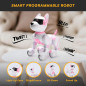 Top Race Robot Chien Rose Télécommandé - Jouet Interactif avec Touches, Sons, Danses, Commandes Vocales, Dès 3 ans Top Race Robot Chien Rose Télécommandé - Jouet Interactif avec Touches, Sons, Danses, Commandes Vocales, Dès 3 ans