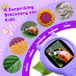 Microscope Portable Mini pour Enfants - Jouet Éducatif STEM Cadeau Anniversaire Noël Filles 5-12 Ans (Violet) Microscope Portable Mini pour Enfants - Jouet Éducatif STEM Cadeau Anniversaire Noël Filles 5-12 Ans (Violet)