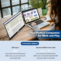InnoView 15.6 Portable Monitor 1080P with Adjustable Stand & Sleeve