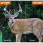 GardePro A3S Caméra de Chasse 64MP 1296p Vision Nocturne 100ft Sans Lueur Déclenchement Rapide 0.1s Étanche