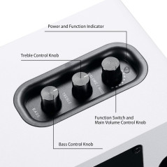 Sanyun SW208 Enceintes Bluetooth Actives 3 60W Blanc