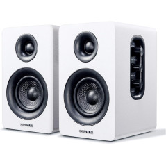 Sanyun SW208 Enceintes Bluetooth Actives 3 60W Blanc