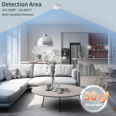 Battery-Powered Carbon Monoxide Detector with LCD & Sound Alarm