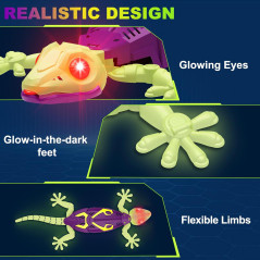 Wall Climbing Glow in The Dark RC Gecko Toy – Fun Birthday Gift for Kids & Teens Ages 3+