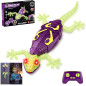Wall Climbing Glow in The Dark RC Gecko Toy – Fun Birthday Gift for Kids & Teens Ages 3+ Wall Climbing Glow in The Dark RC Gecko Toy – Fun Birthday Gift for Kids & Teens Ages 3+