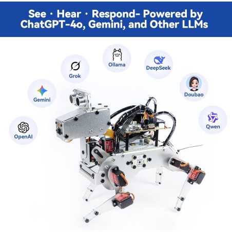 Kit Robot AI SunFounder Raspberry Pi Zero 2 W - Commande Vocale