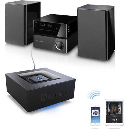 Adaptateur Bluetooth Audio Esinkin pour Streaming & Home Stereo