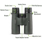 Jumelles Vortex Optics Triumph HD 10x42 - Verres HD, Étanches, Antibuée, Antichoc, Garantie Illimitée