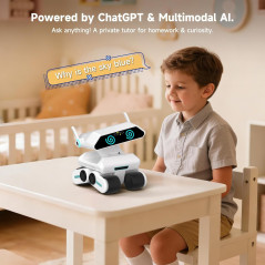 Smart AI Robot Yonbo: Voice-Activated Tutor & Multimodal Home Companion