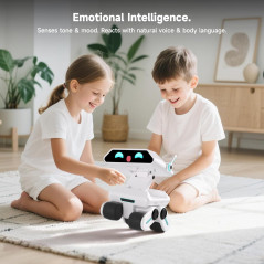 Smart AI Robot Yonbo: Voice-Activated Tutor & Multimodal Home Companion