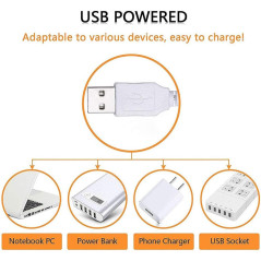 ENUOLI LED Néon Lumineux Forme Éclair USB Batterie Blanc Chaud