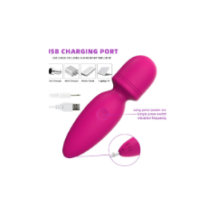 Fuwyiy Mini Cordless Waterproof Massager with 10 Vibration Modes - Rose Red