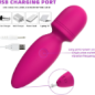 Fuwyiy Mini Waterproof Cordless Handheld Massager with 10 Vibration Modes for Back – Rose Red Fuwyiy Mini Waterproof Cordless Handheld Massager with 10 Vibration Modes for Back – Rose Red