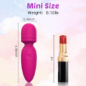 Fuwyiy Mini Waterproof Cordless Handheld Massager with 10 Vibration Modes for Back – Rose Red Fuwyiy Mini Waterproof Cordless Handheld Massager with 10 Vibration Modes for Back – Rose Red