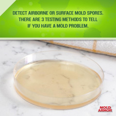 MOLD ARMOR DIY Mold Test Kit – Easy Home Mold Testing Solution