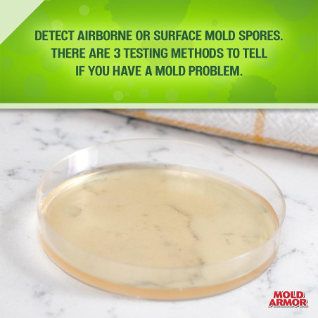 MOLD ARMOR DIY Mold Test Kit – Easy Home Mold Testing Solution