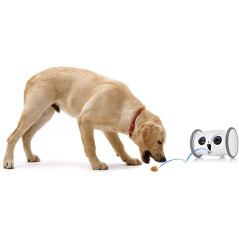 Skymee Owl Robot, le robot interactif pour votre chien