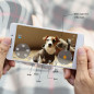 SKYMEE Owl Robot: Caméra Interactive pour Animaux avec Distributeur de Friandises - Surveillez et Amusez Votre Compagnon! SKYMEE Owl Robot: Caméra Interactive pour Animaux avec Distributeur de Friandises - Surveillez et Amusez Votre Compagnon!