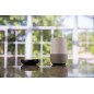 BOND Smart Home Automation: Control Fans, Fireplaces & Shades with Voice! BOND Smart Home Automation: Control Fans, Fireplaces & Shades with Voice!
